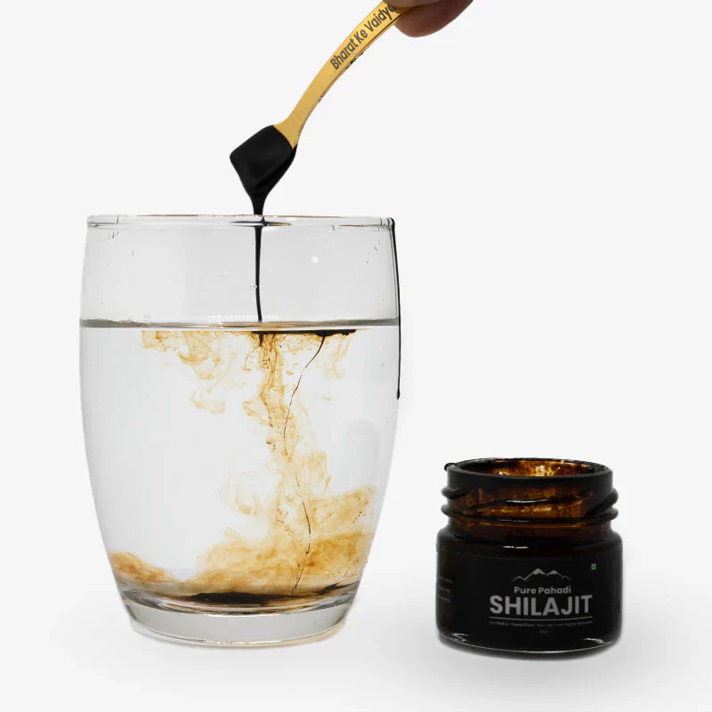 Pure Shilajit - Gilgit Salajeet